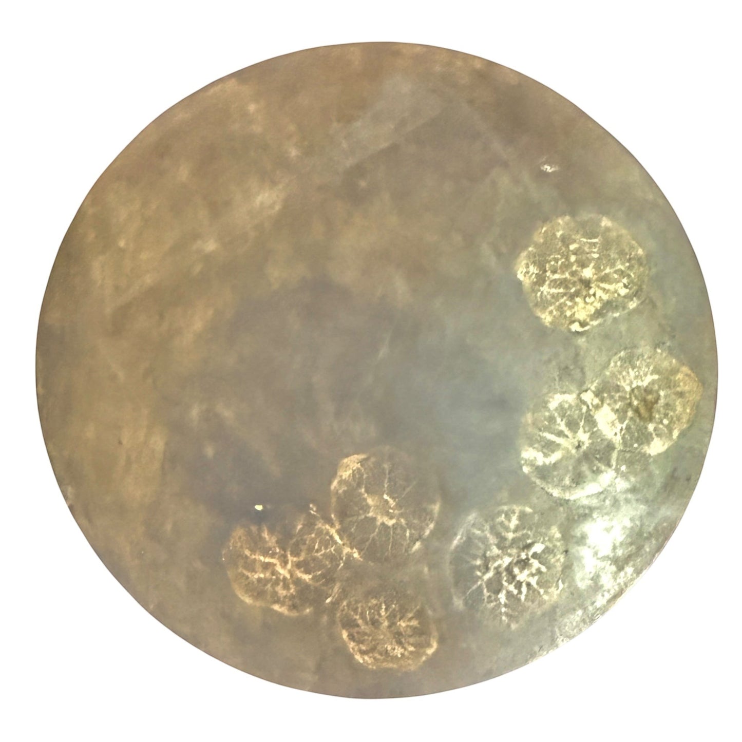 Grand Expressions Gallery and Home Store round concrete stool in brown and gold with coastal shell imprints.
