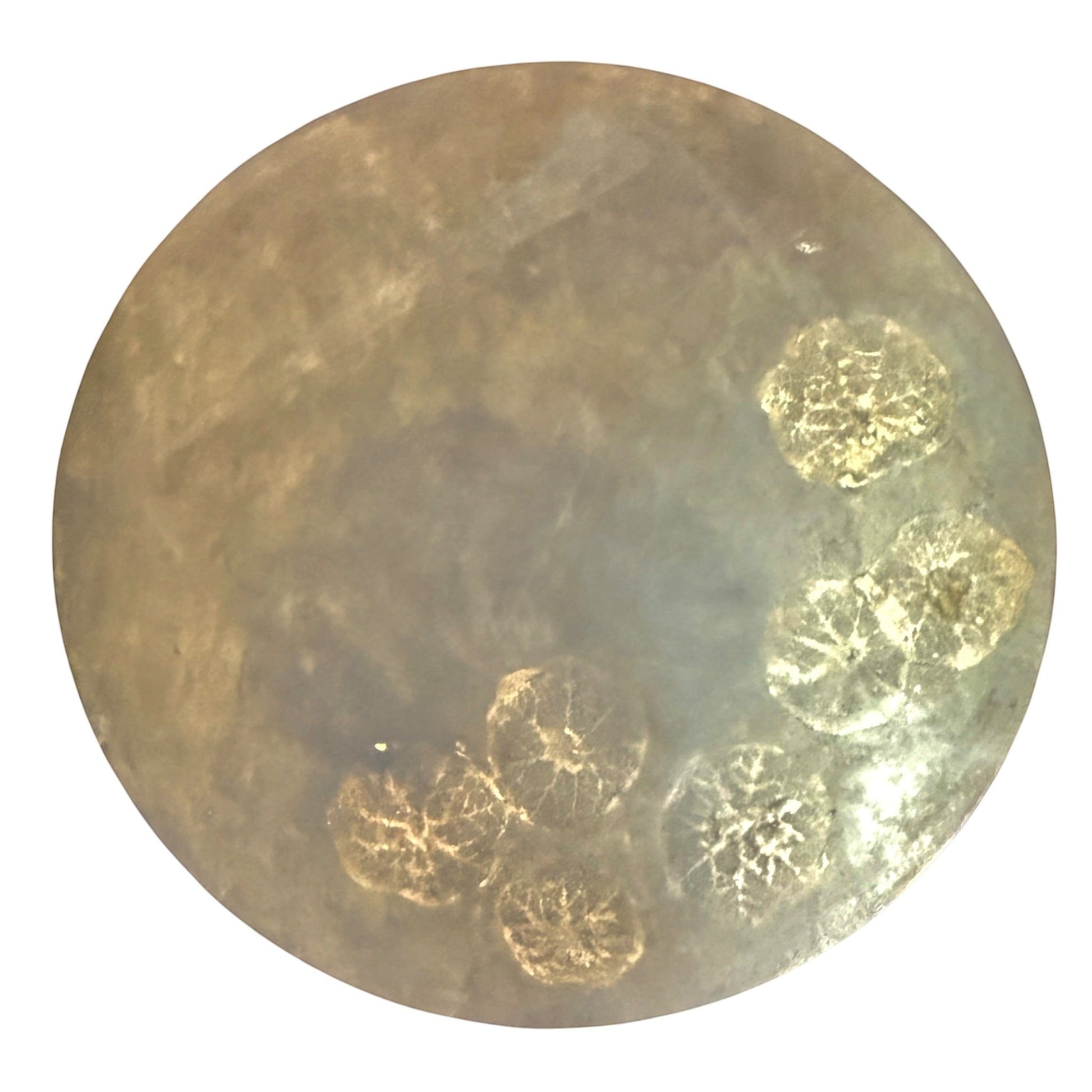 Grand Expressions Gallery and Home Store round concrete stool in brown and gold with coastal shell imprints.